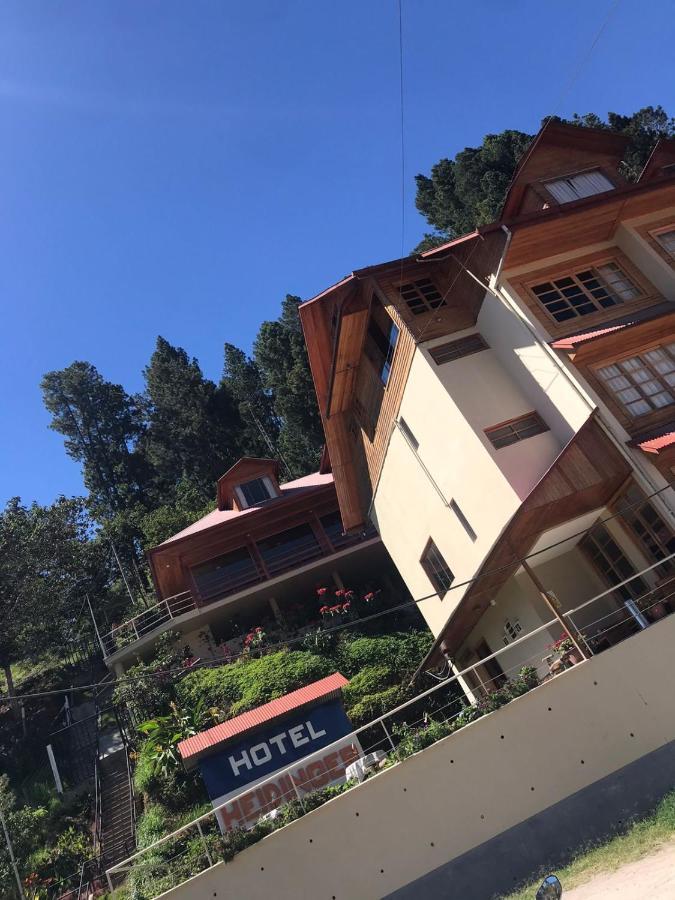 Hotel Heidinger オクサパンパ エクステリア 写真